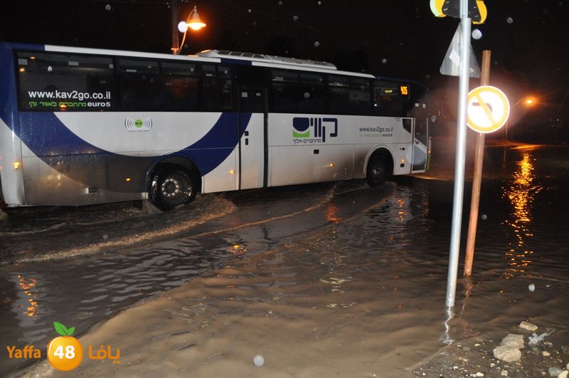 rain lud 1212 (22).JPG